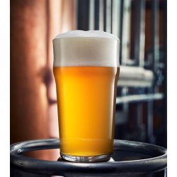 Medvedgrad Baltazar Hoppy lager 0,50L