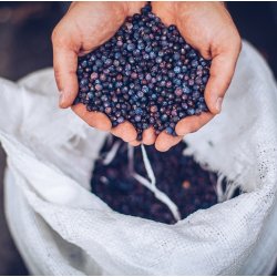  Old Pilot's London Dry Gin Jordbr 70cl