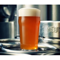 Medvedgrad Fakin IPA 0,50L