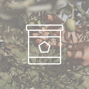 Oliven tapernade / Kapers