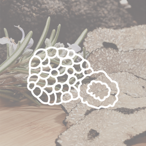 Trfler & Specialiteter